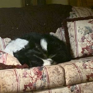 Meet your Posher, Angela